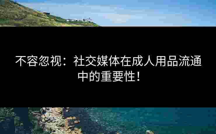 不容忽视:社交媒体在成人用品流通中的重要性! 不容忽视:社交媒体在成人用品流通中的重要性!