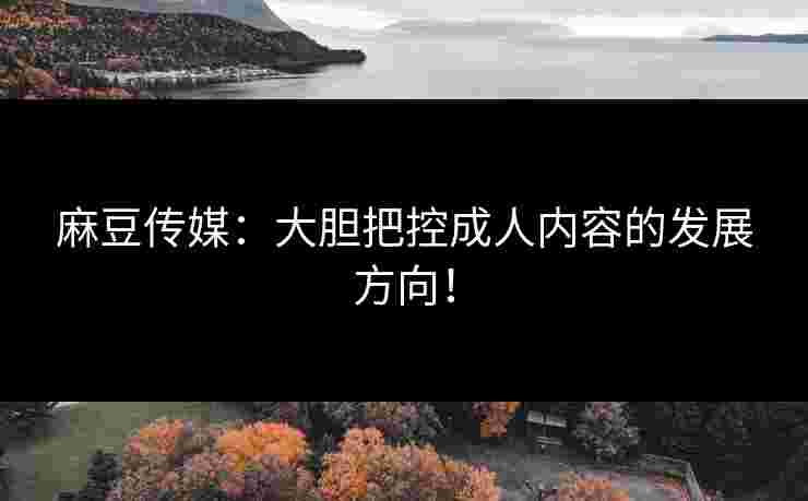 麻豆传媒:大胆把控成人内容的发展方向!